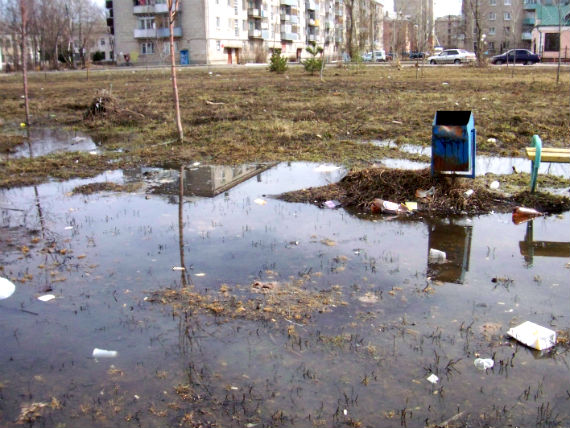 Рыбинск сад имени Фейгина, Рыбинск