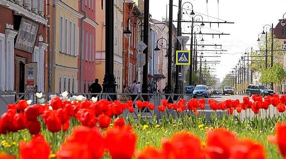 В Рыбинске посадят больше 100 тысяч цветов