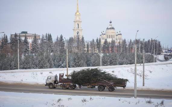 В Рыбинске установили главную городскую елку